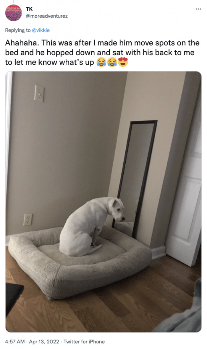 5. He sat with his back to me