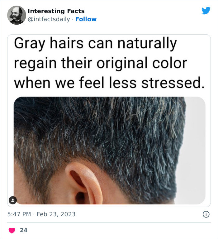 7. Gray hairs can go back to their original color