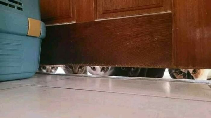 21. When you think you have your own privacy...