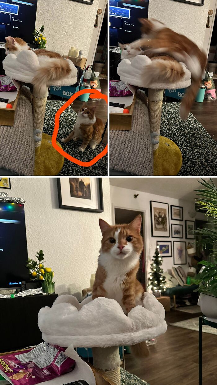 "A Story In Pictures"