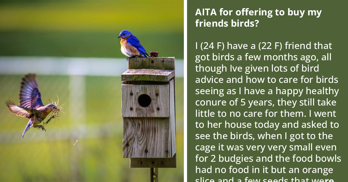 Redditor Offers To Buy Her Friend???s Birds To Save Them From Abuse, Gets