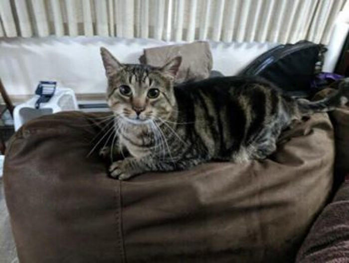 Kristy went to pick up Champ as well