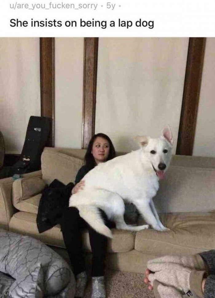 12. Well, if she insists...