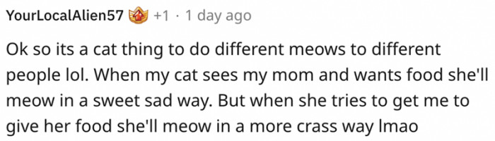 4. This cat has different meows for different people