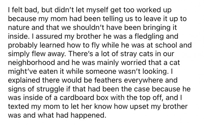 The Redditor tried to assure their brother that the bird had most likely just flown away and would be fine. However, he was worried that it might have been eaten by a stray cat and was still very upset.