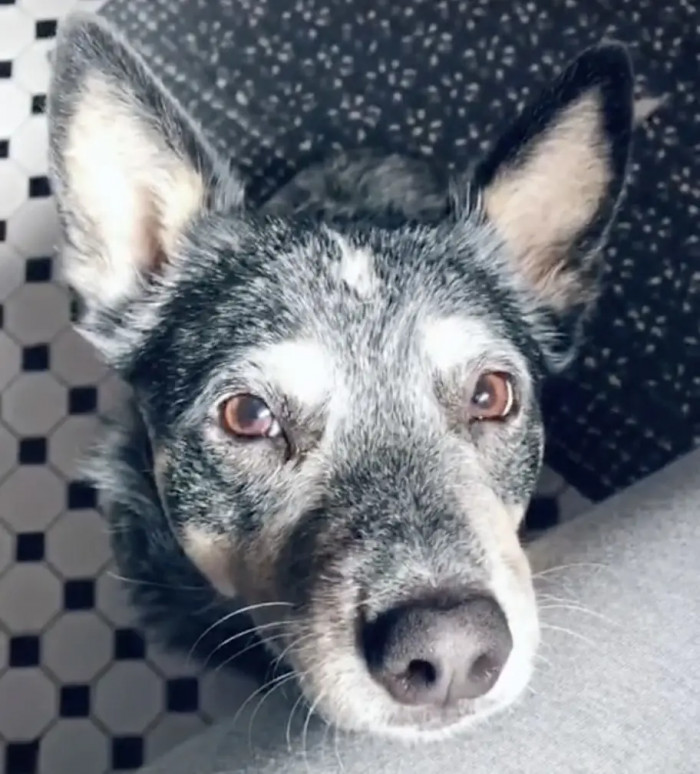 8. Bathroom guardian