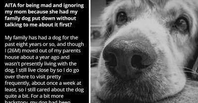 Woman Puts Down Aggressive Family Dog That Bit Her, and Her Son Can’t Forgive Her for Not Consulting Him First