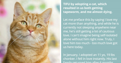 Person Gets Tapeworm After Adopting A Cat And Almost Died From The Series Of Unfortunate Events That Followed