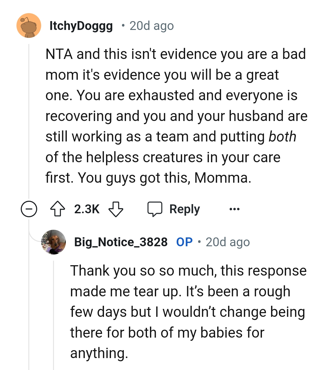 The OP's Exhausted, and Everyone Is Recovering