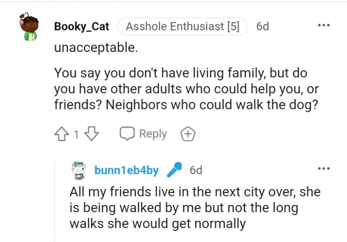 The dog is bring walked by the OP