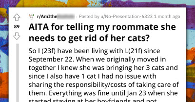 Girl Threatens To Take Roommate's Cats To A Shelter After She Abandoned Them To Stay At Her Boyfriend's Place