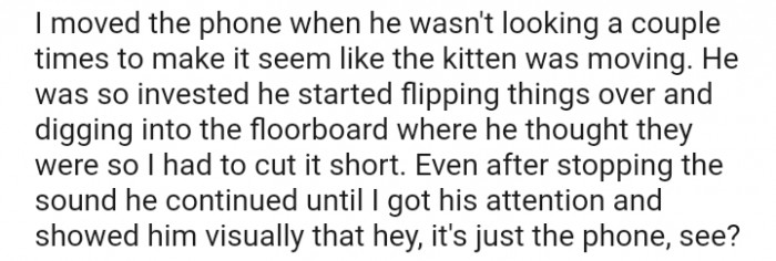 It seems like the kitten wasn't moving