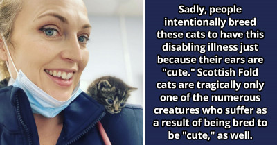 Vet Exposes How Some Animals We Think Are So Cute Live In Unbearable Pain