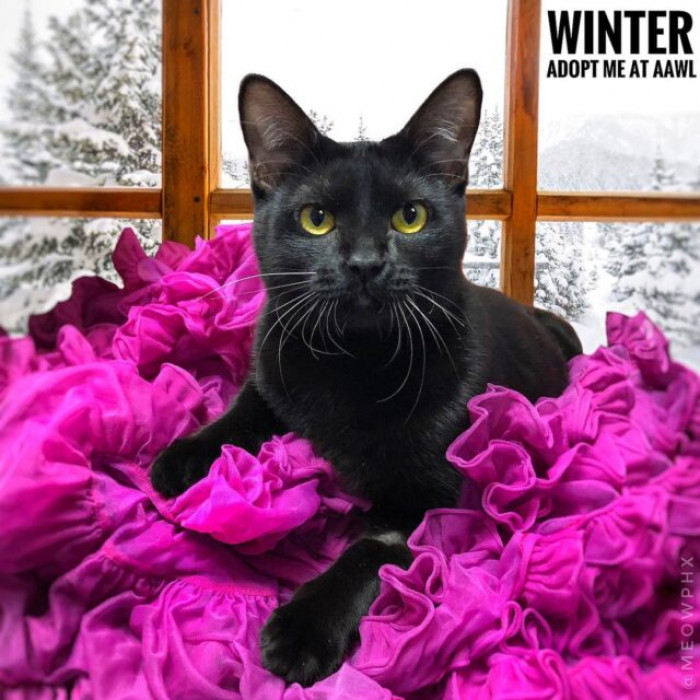 "They have blossomed into a love army"