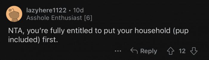 OP has every right to prioritize her dog.