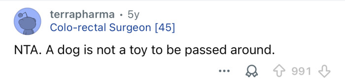 “A dog is not a toy.”