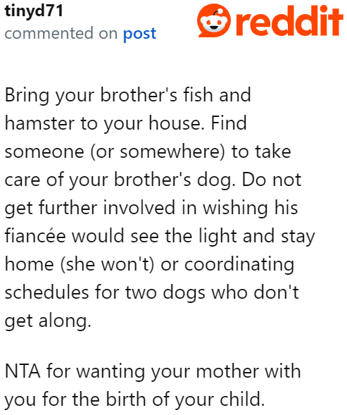 They need to find a pet sitter for the dog to ease the burden.