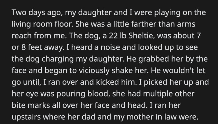 OP is unsure if her feelings toward her MIL and her dog are justified.