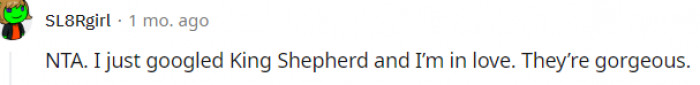 13. This commenter is solely in love with the dog