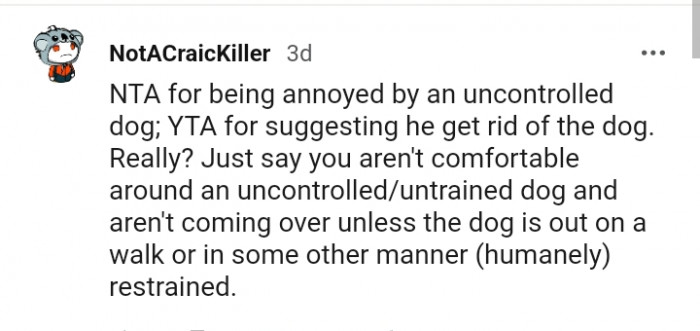 Just say you aren't comfortable around the dog
