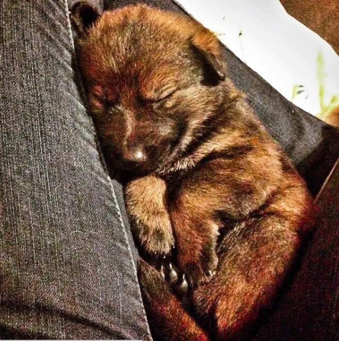 7. This adorable one must be among the fairies in his dream world