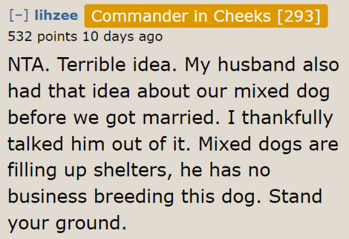 Redditors Are Encouraging the OP to Hold Her Ground Regarding Backyard Breeding.