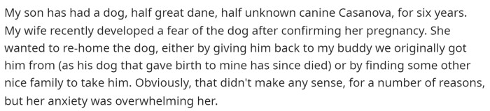 OP starts off by explaining the situation regarding everything that happened with his wife and how she felt about their dog.