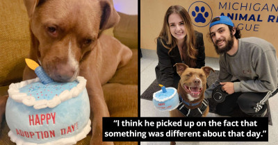 After Waiting 279 Days For A Home, This Dog Is Extremely Excited To Have His Very First Family Photo Taken