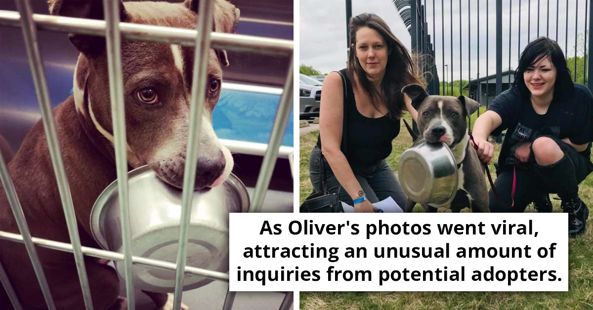 This Shelter Dog Doesn't Go Anywhere Without His Food Bowl