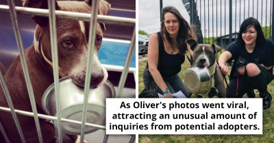 This Shelter Dog Doesn't Go Anywhere Without His Food Bowl