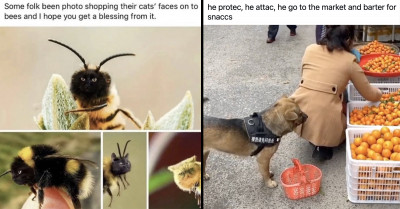 19 Animal Posts That Are Sure to Brighten Up Your Day and Put a Smile on Your Face