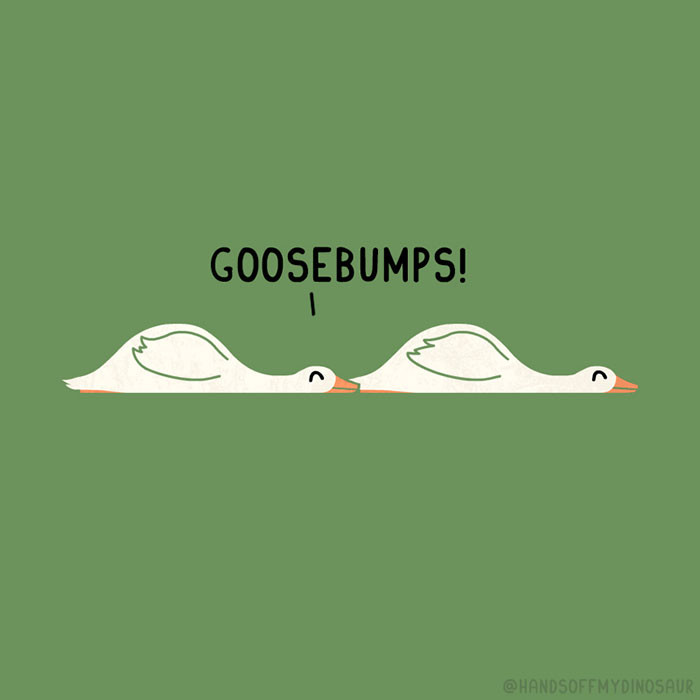 10. The literal meaning of a goose bump
