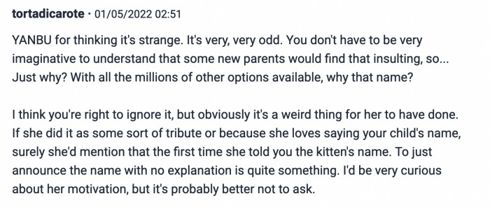 One Commenter Reassured OP That They Are Not Being Unreasonable and It's Also Curious How MIL Ended Up Naming Her Cat After Her Grandson