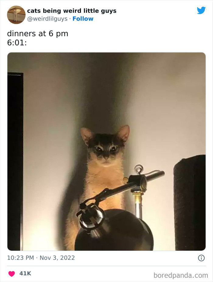 20. You are late, human