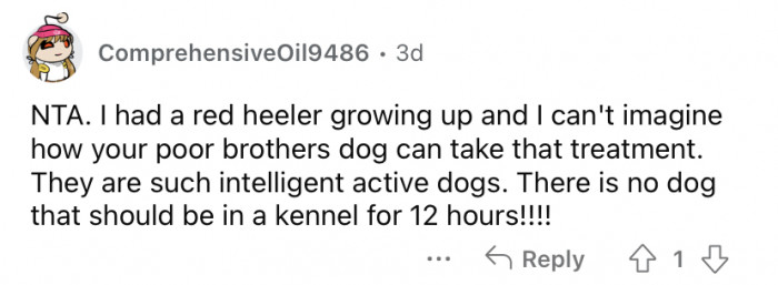 "There is no dog that should be in a kennel for 12 hours."