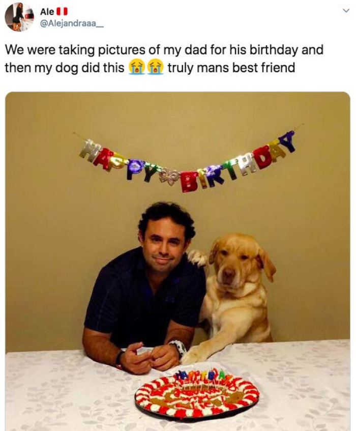 18. They're our closest companions.