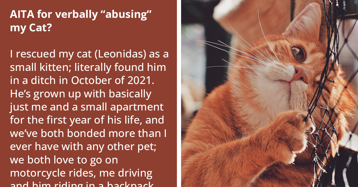 Cat Owner, Whose Terms Of Endearment For His Pet Look Like Nasty Insults, Has Other Pet Owners Sharing The Offensive Nicknames They Gave Their Furballs