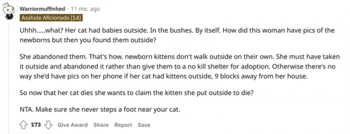 It's pretty clear that the kittens were abandoned.