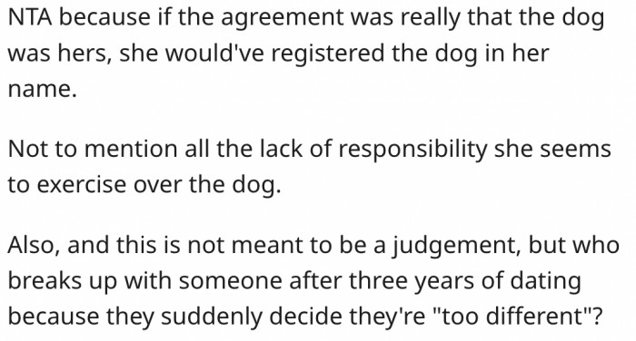 17. His ex isn't responsible enough to have the dog.