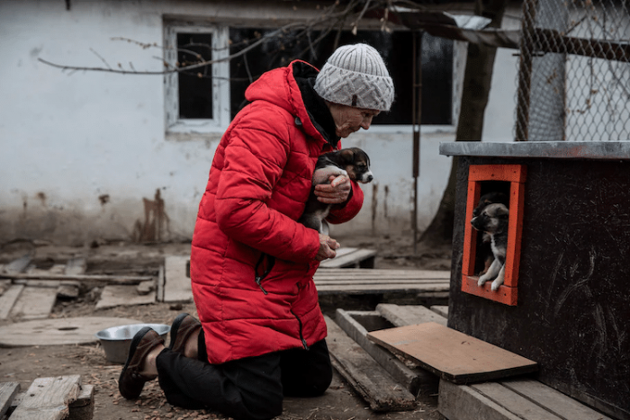Asya Serpinska, a 77-year-old Ukrainian woman, risked her life to stay behind and care for over 700 animals in her animal rescue.