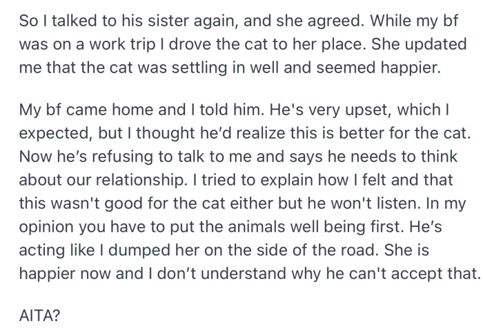 While OP’s bf was on a work-trip, she handed over to the cat to his sister. By the the time he returned, it started a huge argument