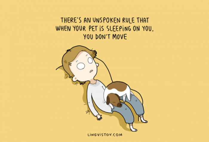 9. "There's an unspoken rule that when your pet is sleeping on you, you don't move."