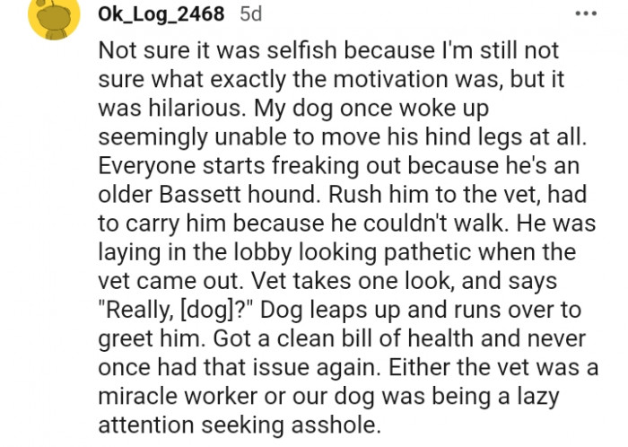 8. This dog was being a lazy attention seeker