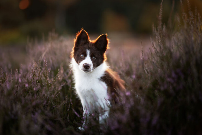 8. Hey cutie... Looks like he's seriously admiring something