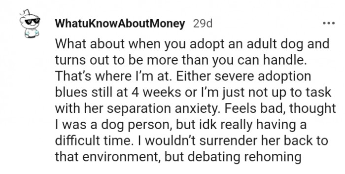 Thought I was a dog person...