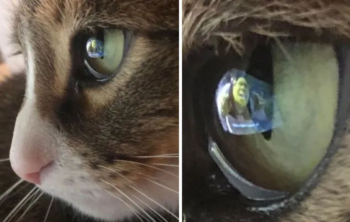 39. Some see chaos. He sees layers.