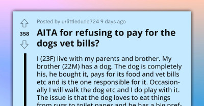 Woman Refuses To Pay For The Vet Bills Of Her Brother's Dog After It Ate Underwear In Her Room While She Was Away