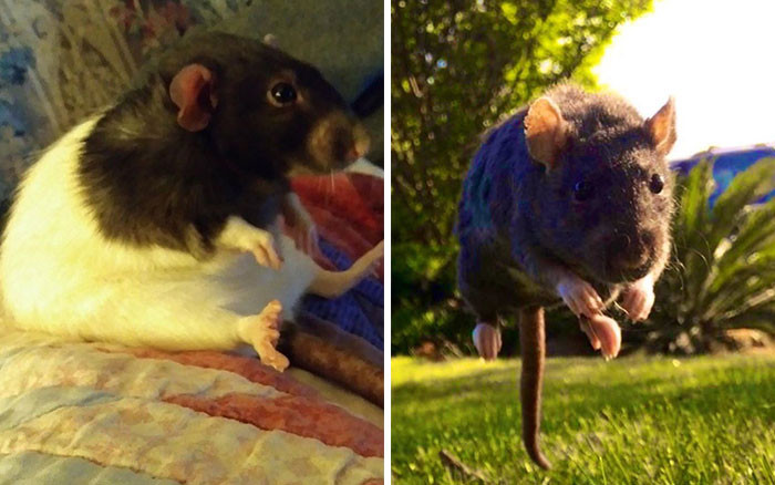 34. We do different things for fun