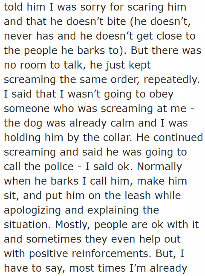 The man was so upset that he started yelling at the dog owner.