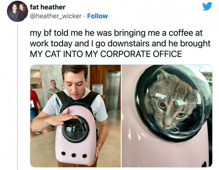 8. The best office visitor she's ever had.